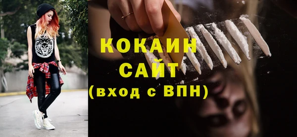 прущие грибы Абаза