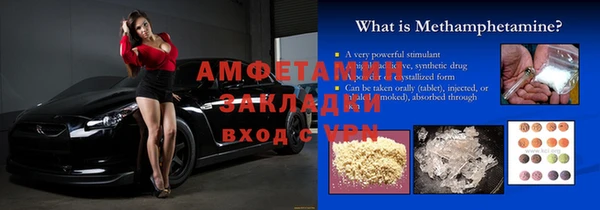 прущие грибы Абаза