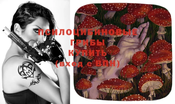 винт Аркадак