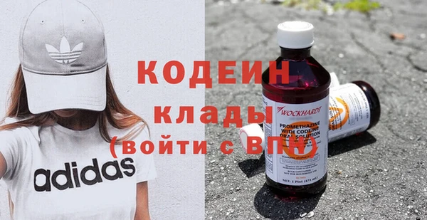 прущие грибы Абаза