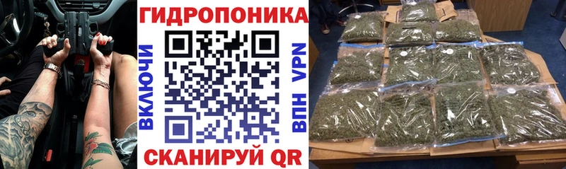 Шишки марихуана MAZAR  Правдинск 